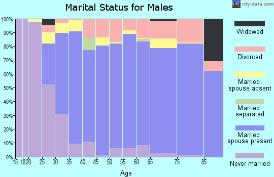 Zip code 98248 marital status for males