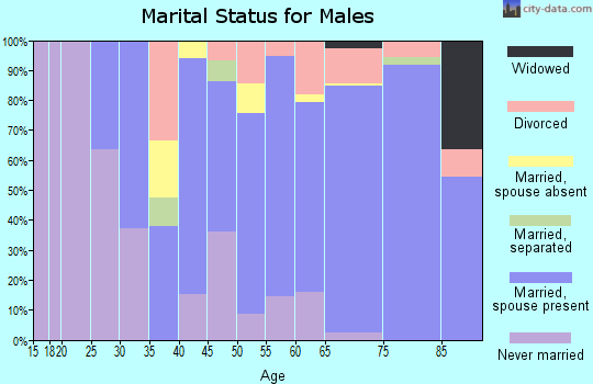 Zip code 98261 marital status for males
