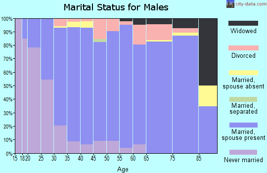Zip code 98264 marital status for males