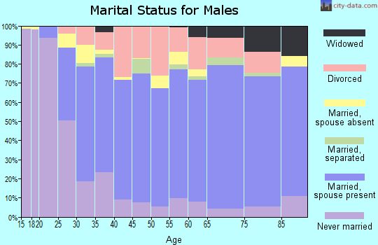 Zip code 98273 marital status for males