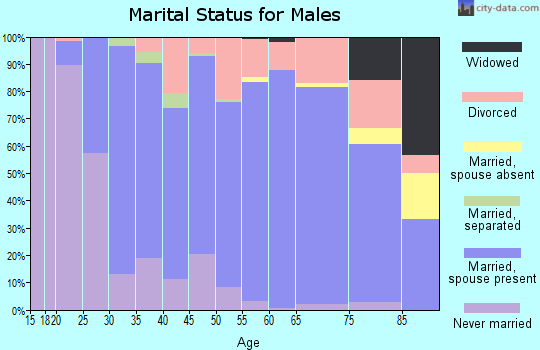 Zip code 98274 marital status for males