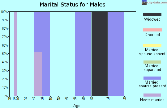 Zip code 98283 marital status for males
