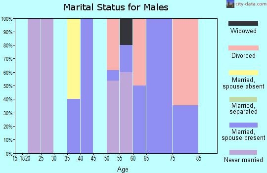 Zip code 98288 marital status for males