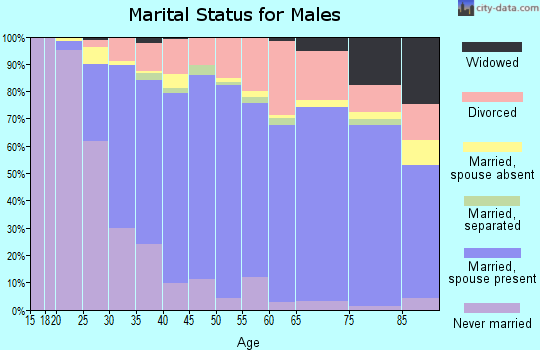 Zip code 98290 marital status for males