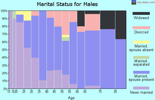 Zip code 98294 marital status for males