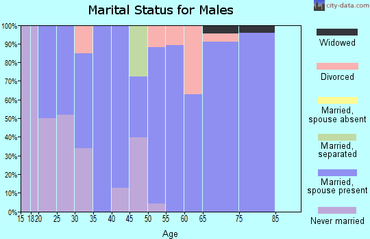 Zip code 98295 marital status for males