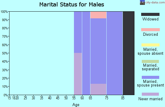 Zip code 98297 marital status for males