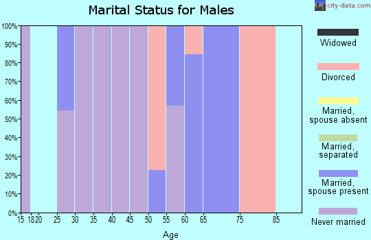 Zip code 98304 marital status for males