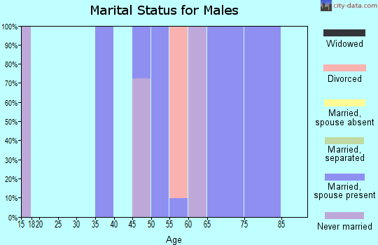 Zip code 98305 marital status for males