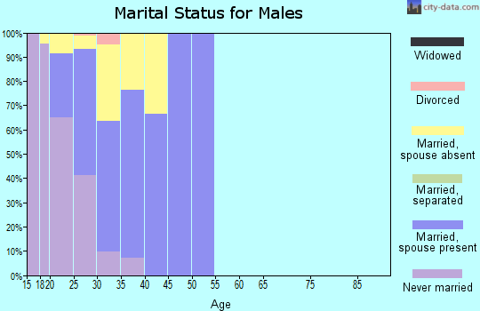 Zip code 98315 marital status for males