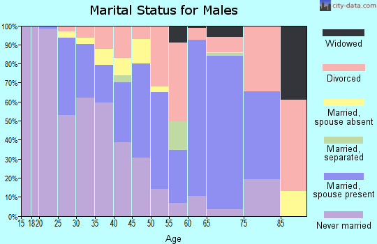 Zip code 98331 marital status for males