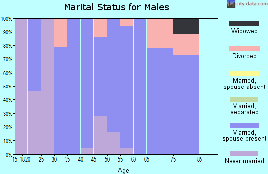 Zip code 98333 marital status for males