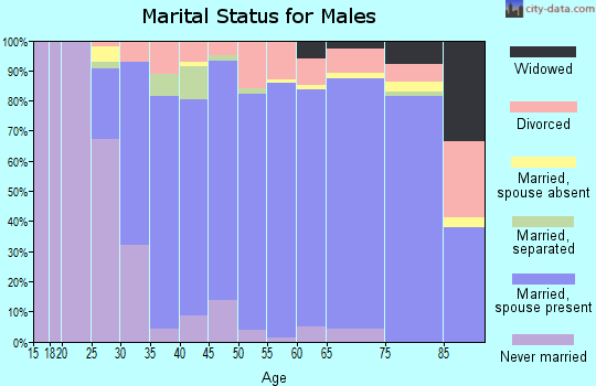 Zip code 98335 marital status for males