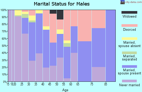 Zip code 98337 marital status for males