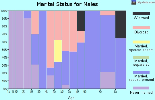 Zip code 98339 marital status for males