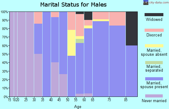 Zip code 98342 marital status for males