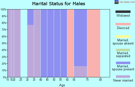 Zip code 98355 marital status for males