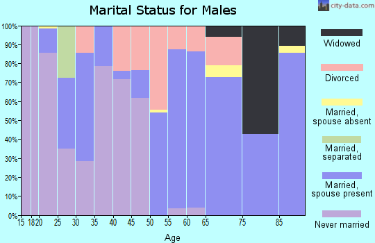 Zip code 98356 marital status for males