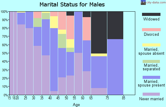 Zip code 98357 marital status for males
