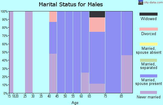 Zip code 98358 marital status for males