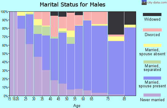 Zip code 98363 marital status for males