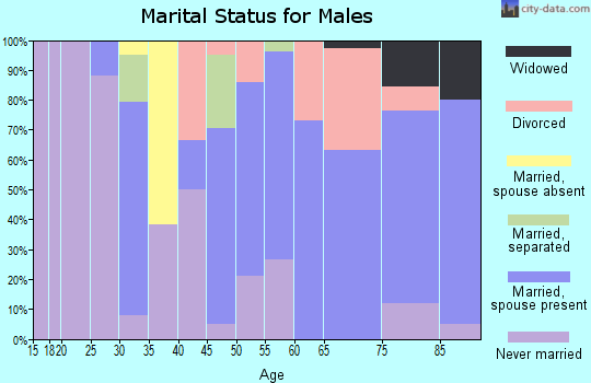 Zip code 98376 marital status for males