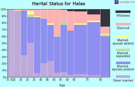 Zip code 98382 marital status for males
