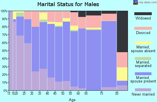 Zip code 98383 marital status for males