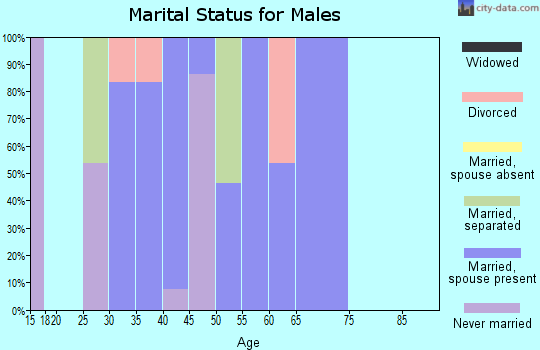 Zip code 98385 marital status for males
