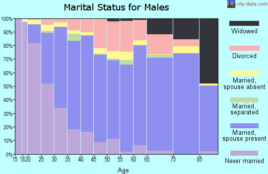 Zip code 98387 marital status for males