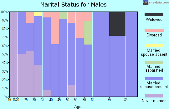 Zip code 98396 marital status for males