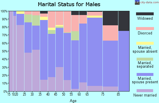 Zip code 98467 marital status for males