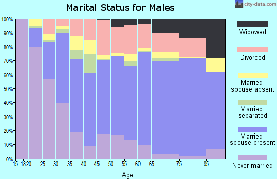 Zip code 98503 marital status for males