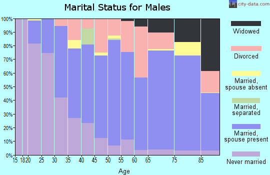 Zip code 98506 marital status for males