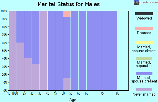 Zip code 98526 marital status for males