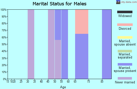 Zip code 98527 marital status for males