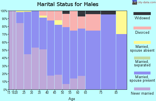 Zip code 98528 marital status for males