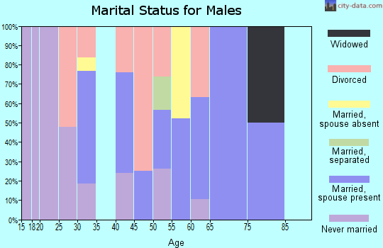 Zip code 98530 marital status for males