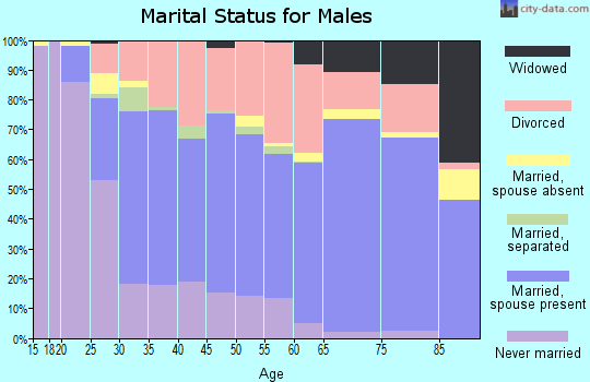 Zip code 98531 marital status for males