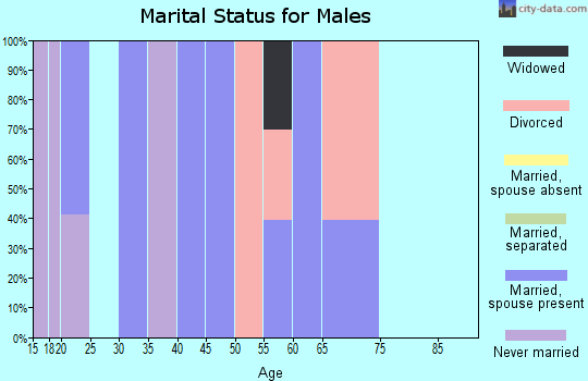 Zip code 98533 marital status for males