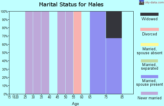 Zip code 98535 marital status for males