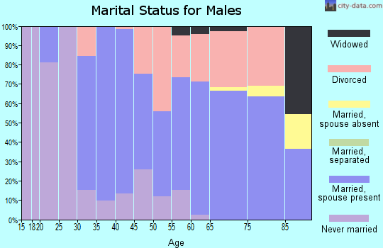 Zip code 98537 marital status for males