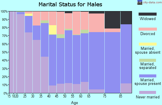 Zip code 98541 marital status for males