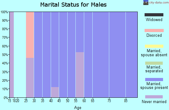 Zip code 98542 marital status for males