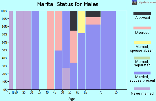 Zip code 98547 marital status for males