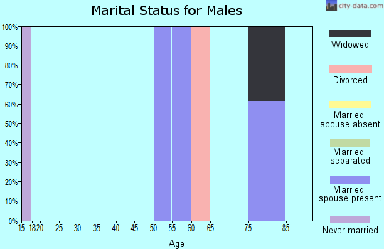 Zip code 98555 marital status for males