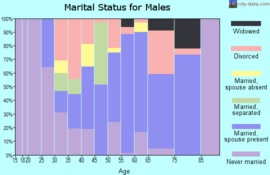 Zip code 98564 marital status for males