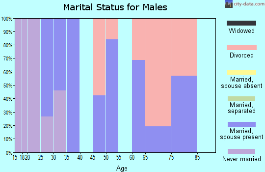 Zip code 98565 marital status for males