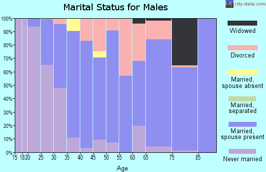 Zip code 98568 marital status for males