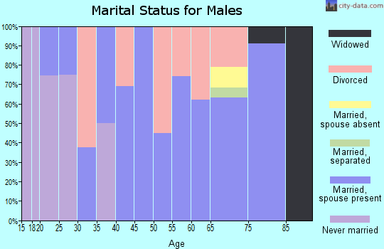 Zip code 98572 marital status for males